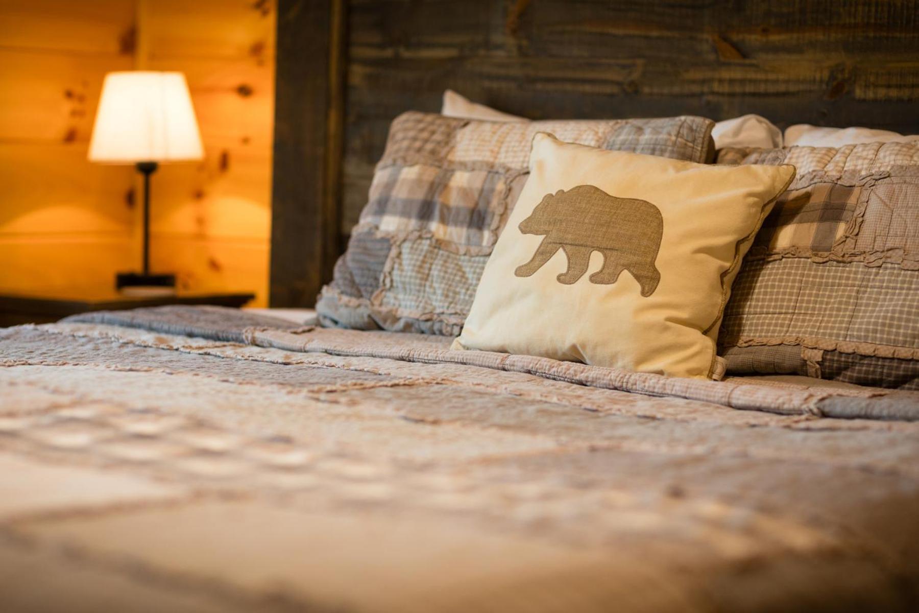 Paws In The Air Villa Пиджен Фордж Екстериор снимка